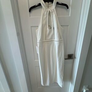 Bardot Cream Sheath Halter Dress open back